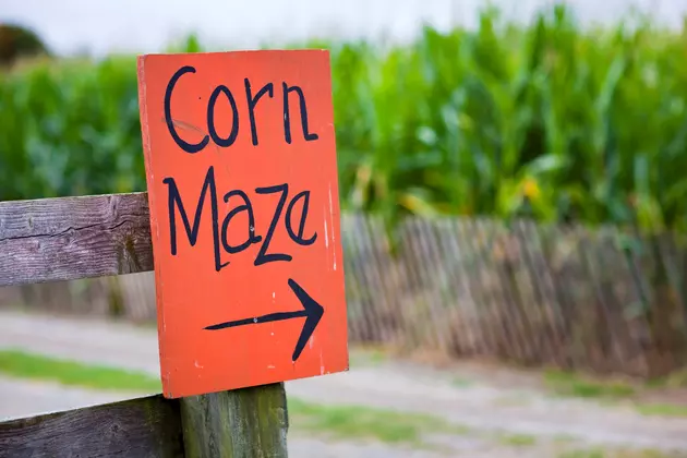 This Illinois Mario Bros. Corn Maze Will Make You Relive Your Childhood