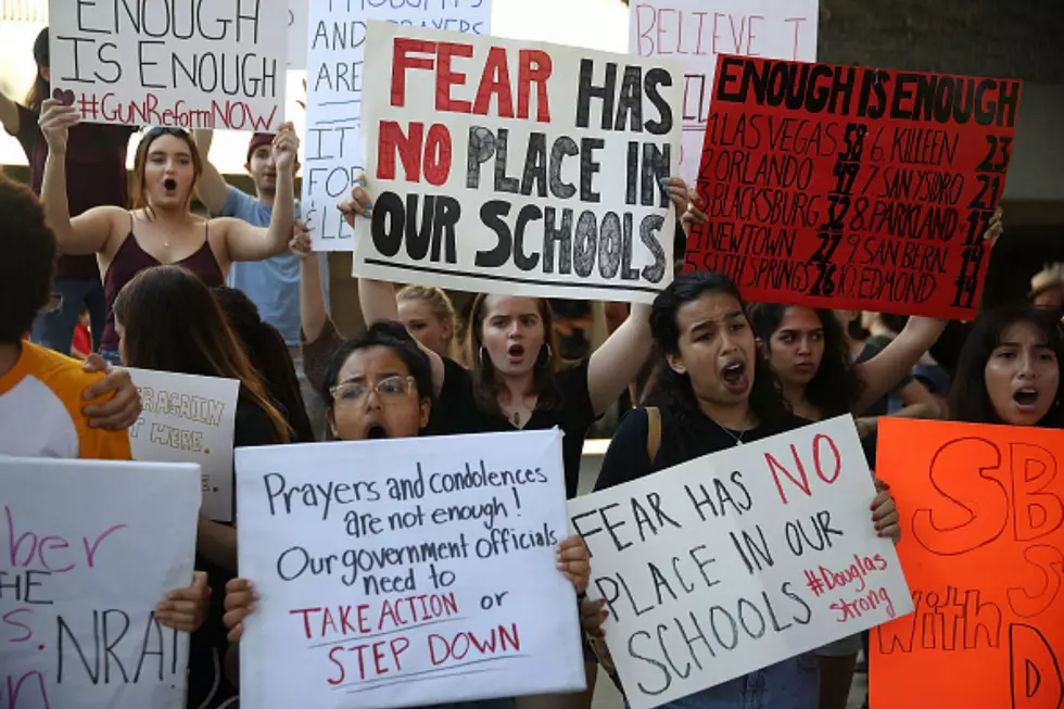 Students Take the Lead on Gun Control and Plan School Walkouts; Will Rockford Schools Follow Participate?