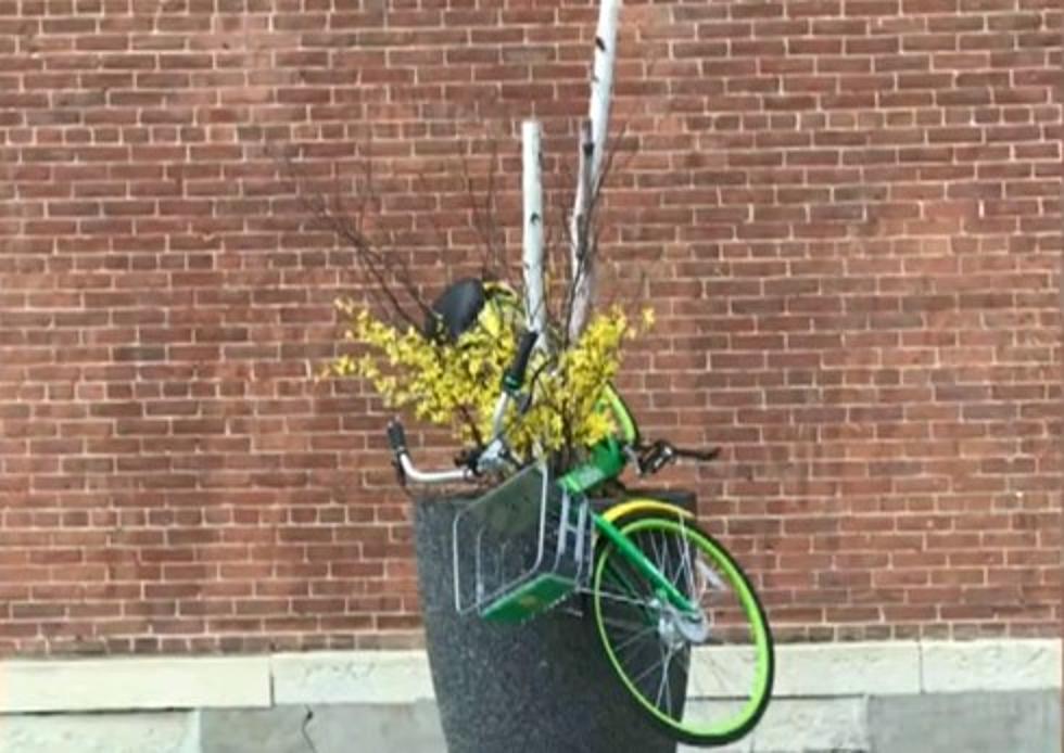 12 Times People Have Ruined Limebike for the Rest of Us