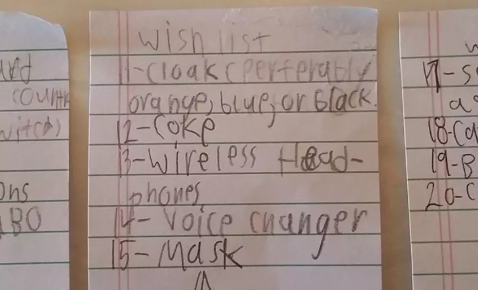 This Rockford Kid&#8217;s Funny Wish List Proves He Knows Exactly What He Wants For His Birthday