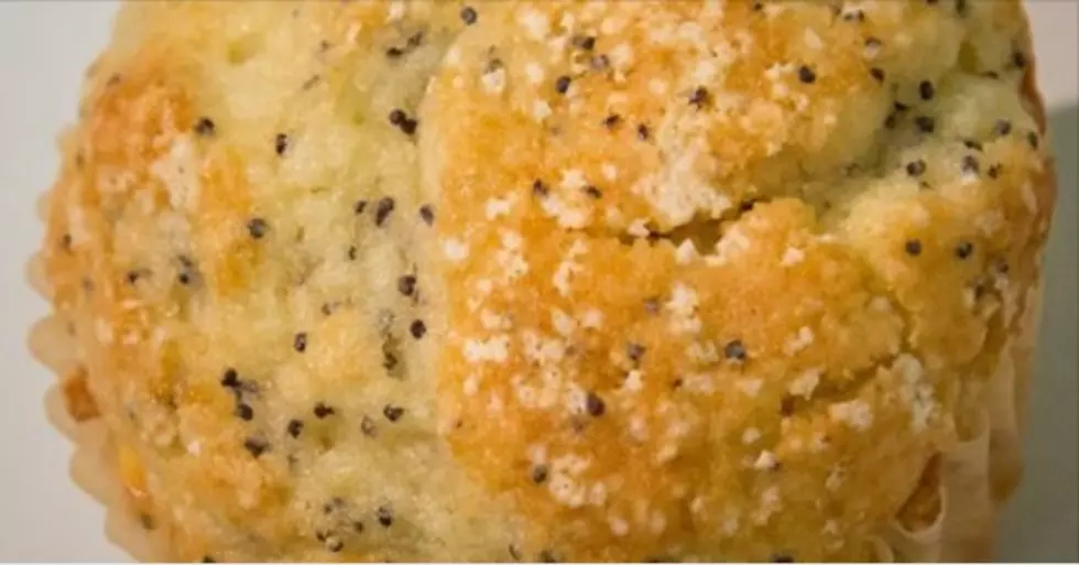 Can You Spot All The Ticks On This Poppy Seed Muffin?