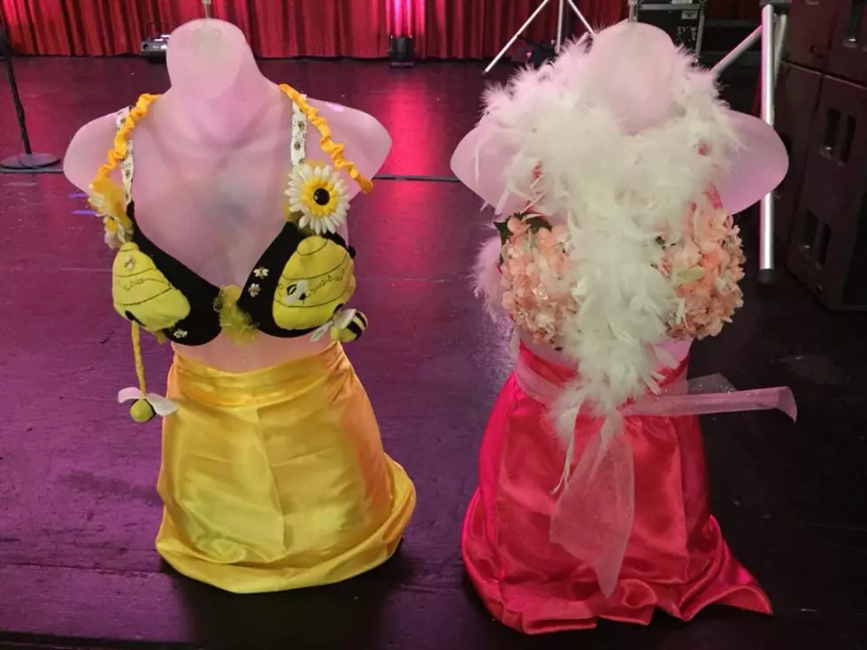 2018 Pink Party featuring the 97ZOK Bra Auction presented by Rock Valley Credit Union