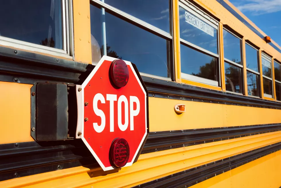 Driver Accused Of Letting Students Drive Bus Pleads Guilty