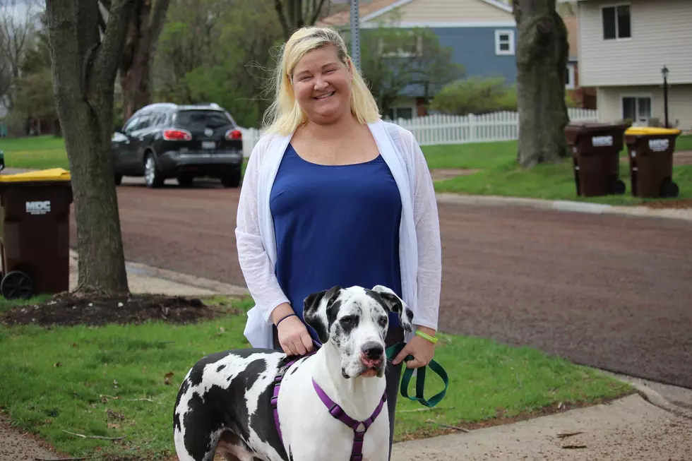 Can You Help this Illinois Dog Find His Human a Kidney?