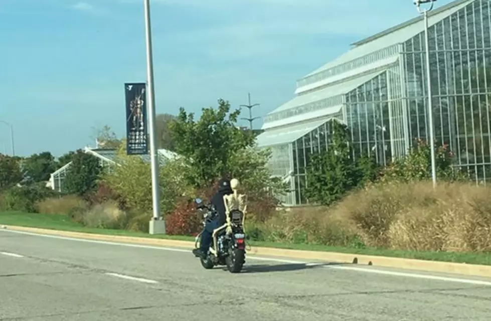 Watch Out for Skeletons Riding Motorcycles in Rockford