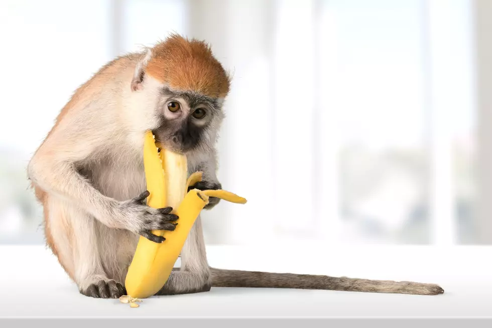 We've Been Peeling Bananas The Wrong Way Our Entire Life