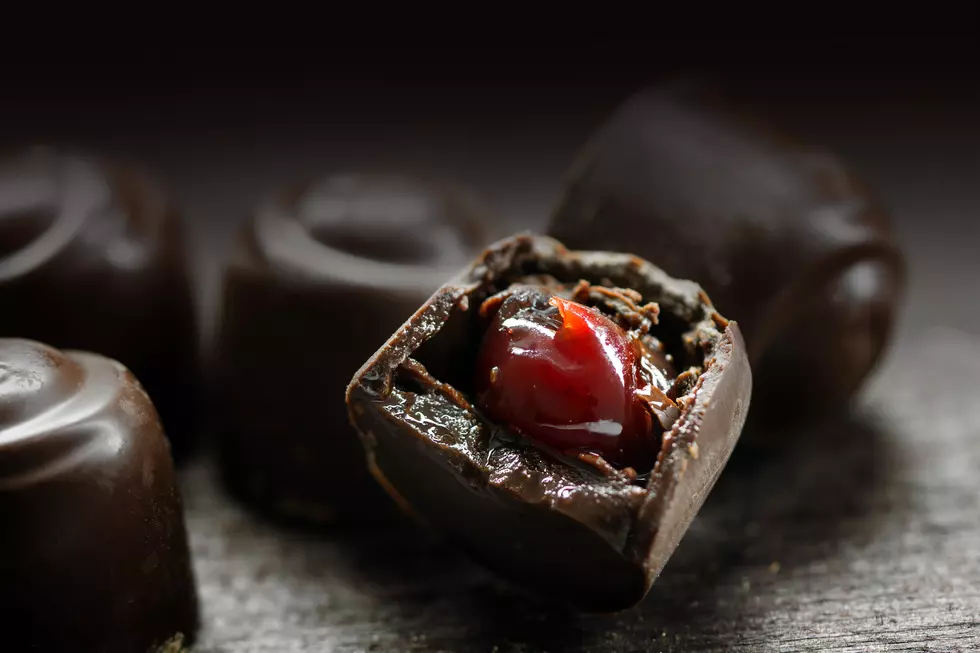 I Vote For Booze-Filled Chocolate Again This Holiday Season