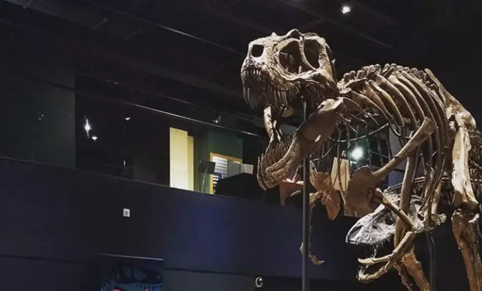 A Three-Day Dinosaur Fest Is Coming To Rockford Next Month