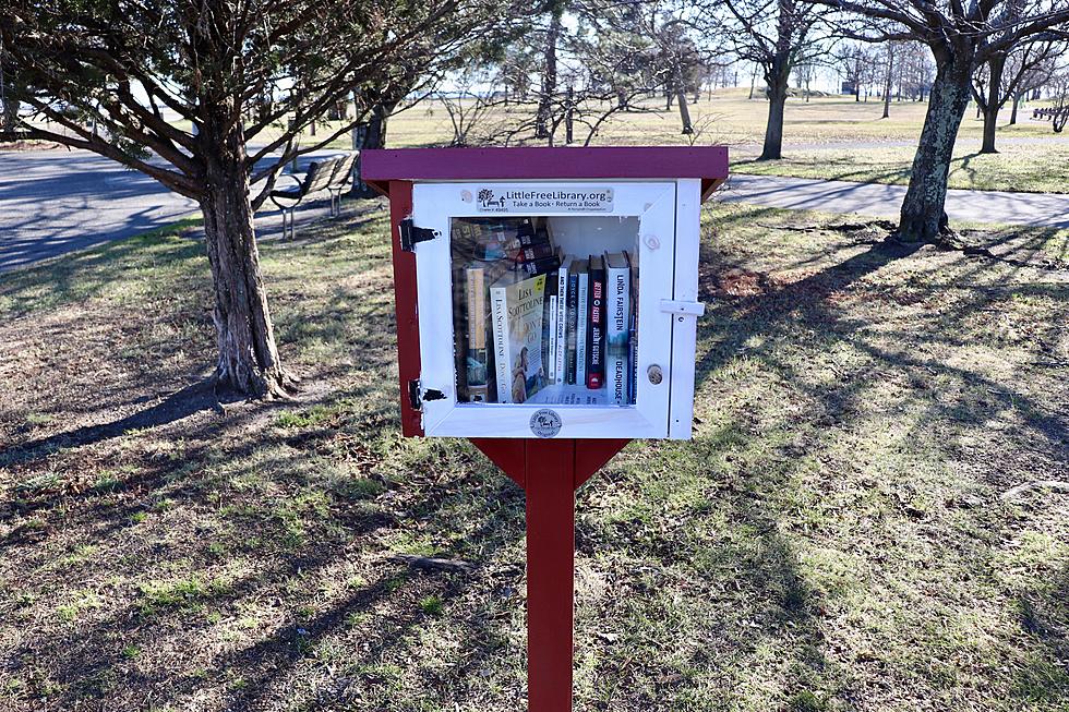 The &#8216;Little Free Library&#8217; On 11th Street In Rockford Is Empty
