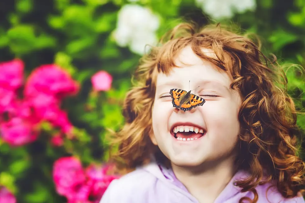 Enjoy Breakfast With Hundreds of Butterflies at Nicholas Conservatory