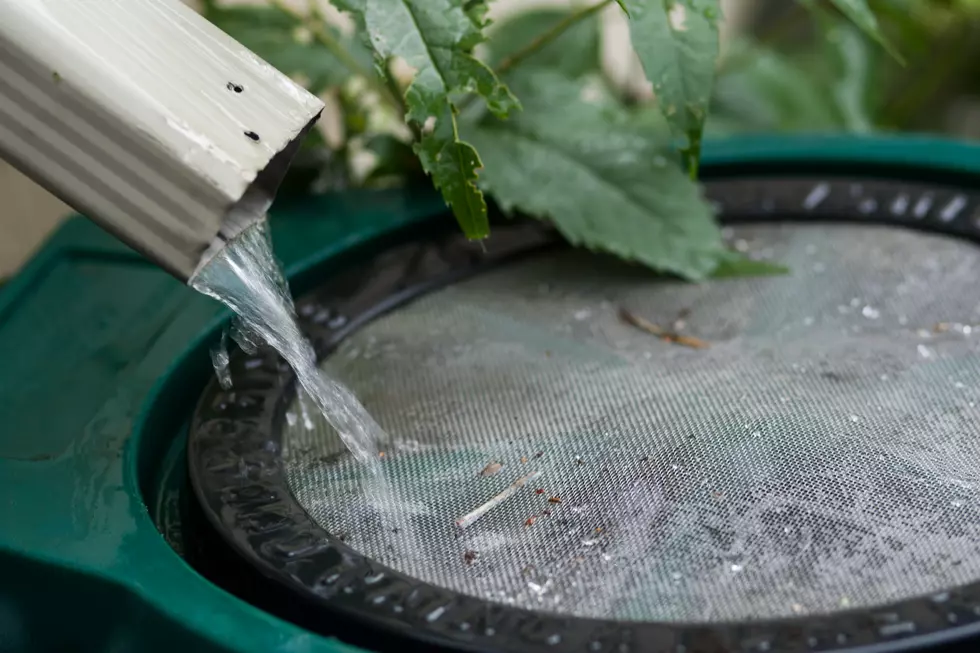 How To Build and Use Rain Barrels and Rain Gardens