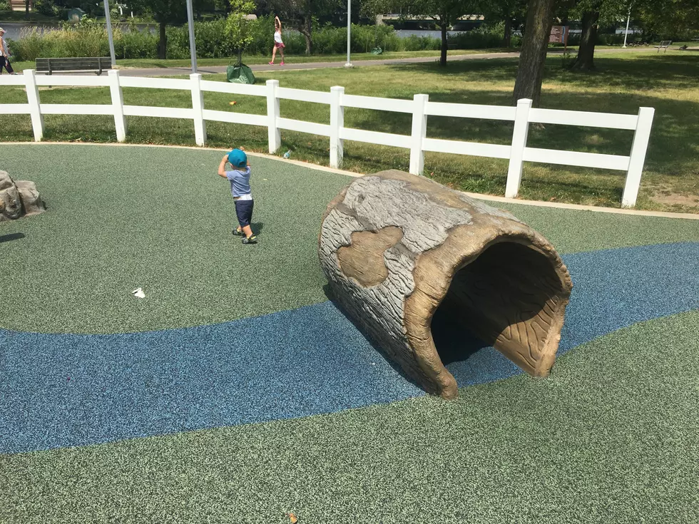 Why is There a Fake Rat in This Rockford Playground?