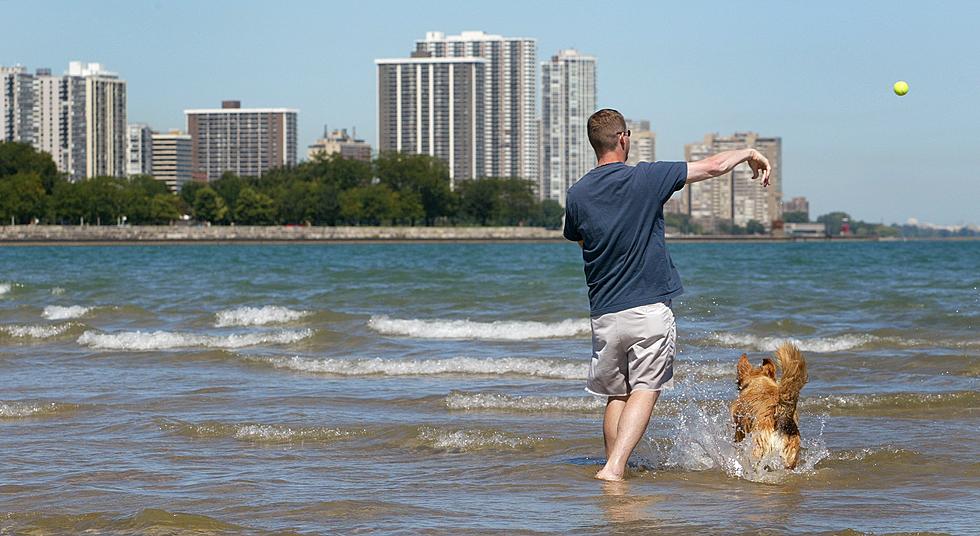 Illinois Is Home To The Most Poop Filled Beach In America