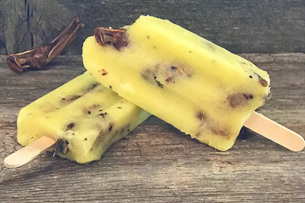The Wisconsin State Fair Just Debuted A New Bug On-A-Stick Slushy