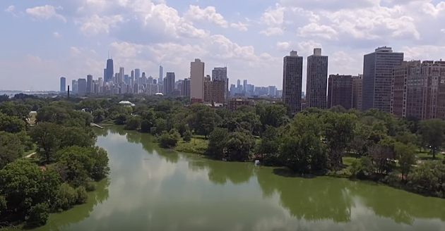 Man Dies After Jumping Into Lincoln Park Lagoon to Save His Dog
