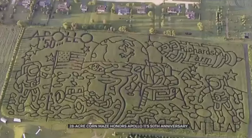 World’s Largest Corn Maze in IL Premiers New Moon Landing Design