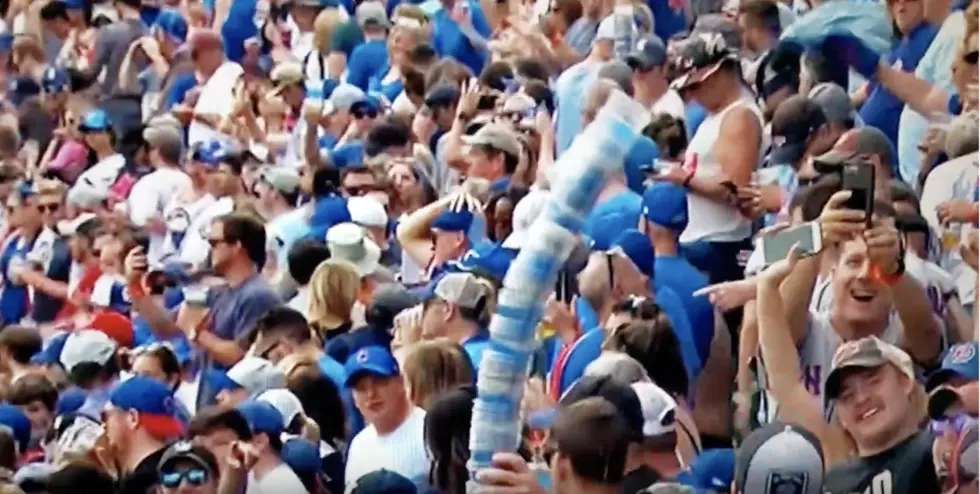 Is This The Most Epic Cubs Cup Snake Ever Made?