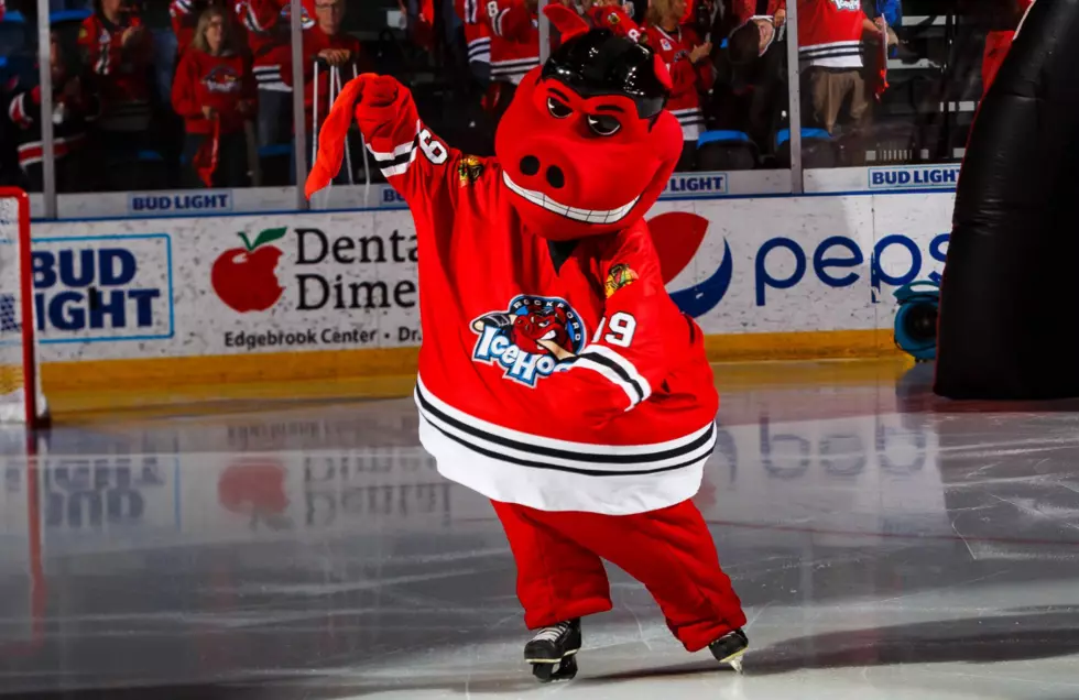 Rockford IceHogs Looking For A Part-Time Hammy