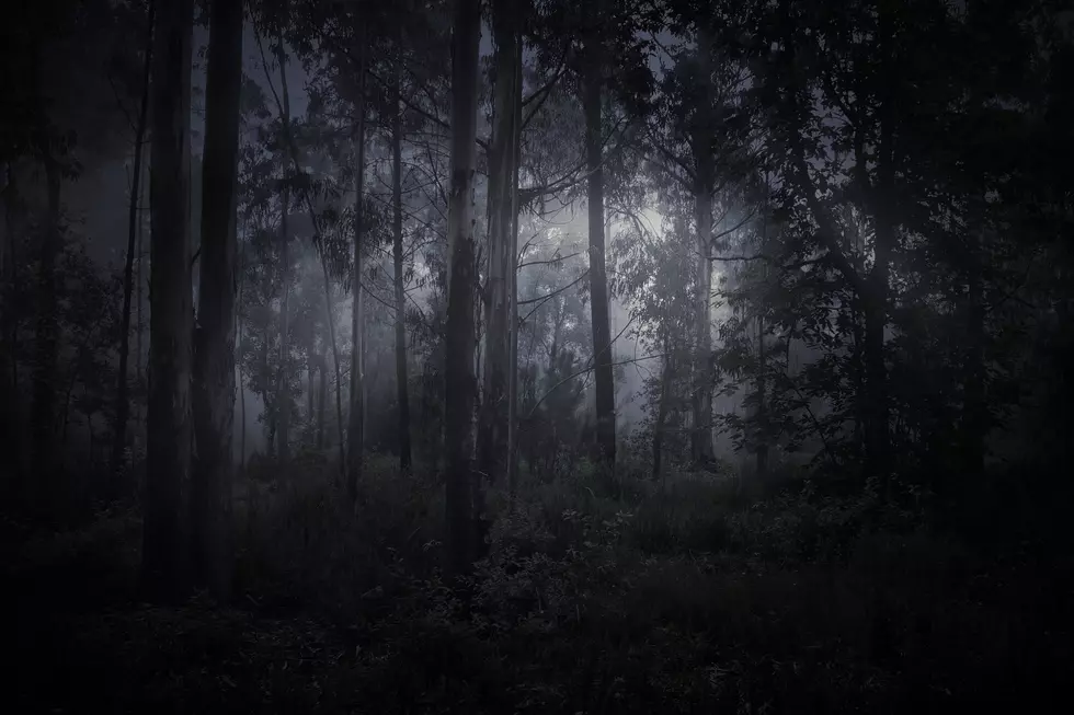 A Rockford Forest is One of the 10 Creepiest Places in Illinois