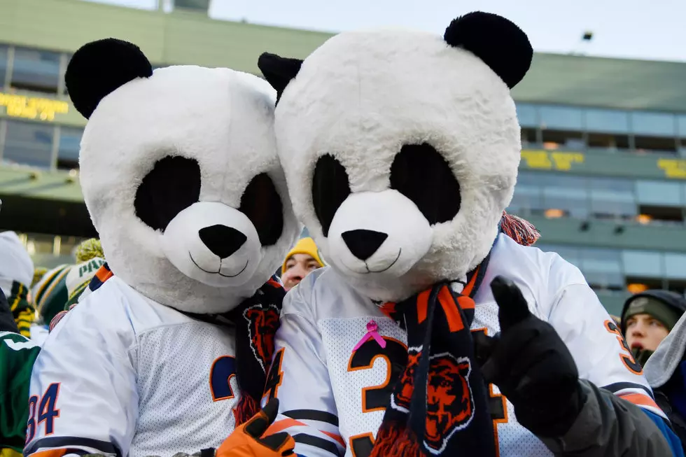 Bears Fans Will Have to Mask up at Soldier Field Says NFL