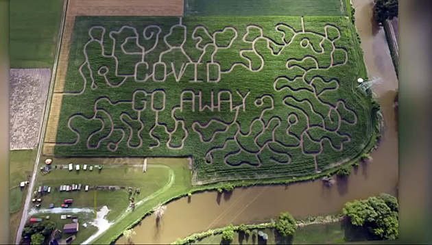 WOW! Michigan Farm Creates &#8216;COVID Go Away&#8217; Corn Maze