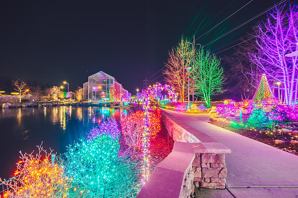 Illinois’ Breathtaking ‘All Aglow’ Returns to Nicholas Conservatory