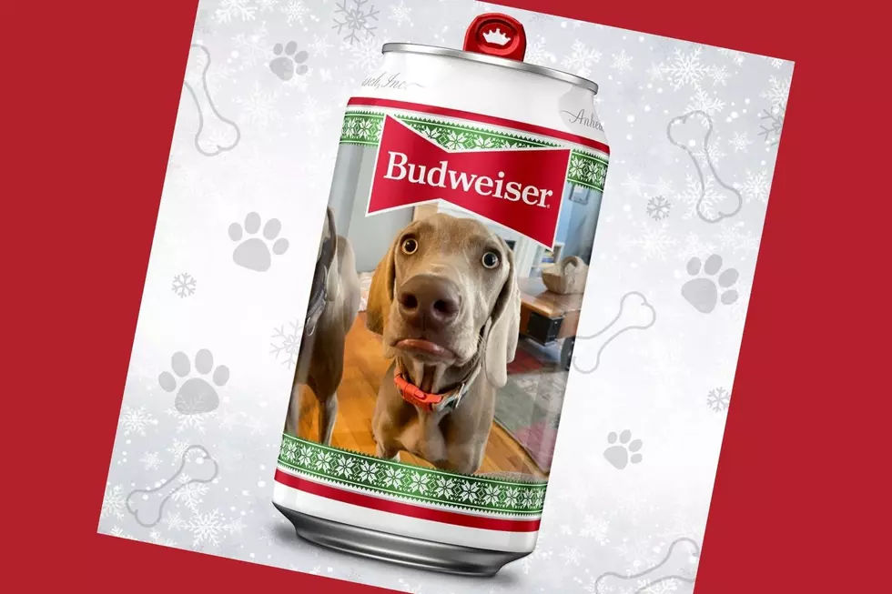 Budweiser Will Put Your Dog on Cans of &#8216;Pupweiser&#8217; Holiday Brew