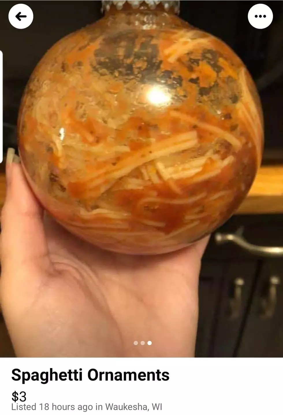 Wait is this Real? &#8216;Spaghetti Ornament&#8217; For Sale in Wisconsin