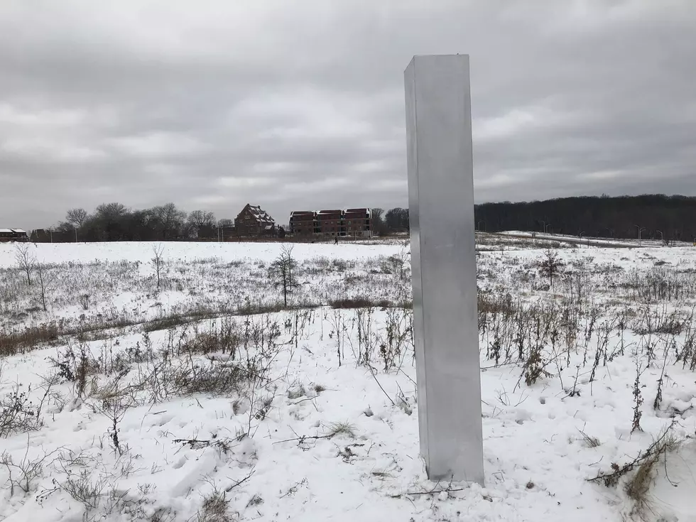 Another Monolith Has Popped up at a Wisconsin Park Hiking Trail