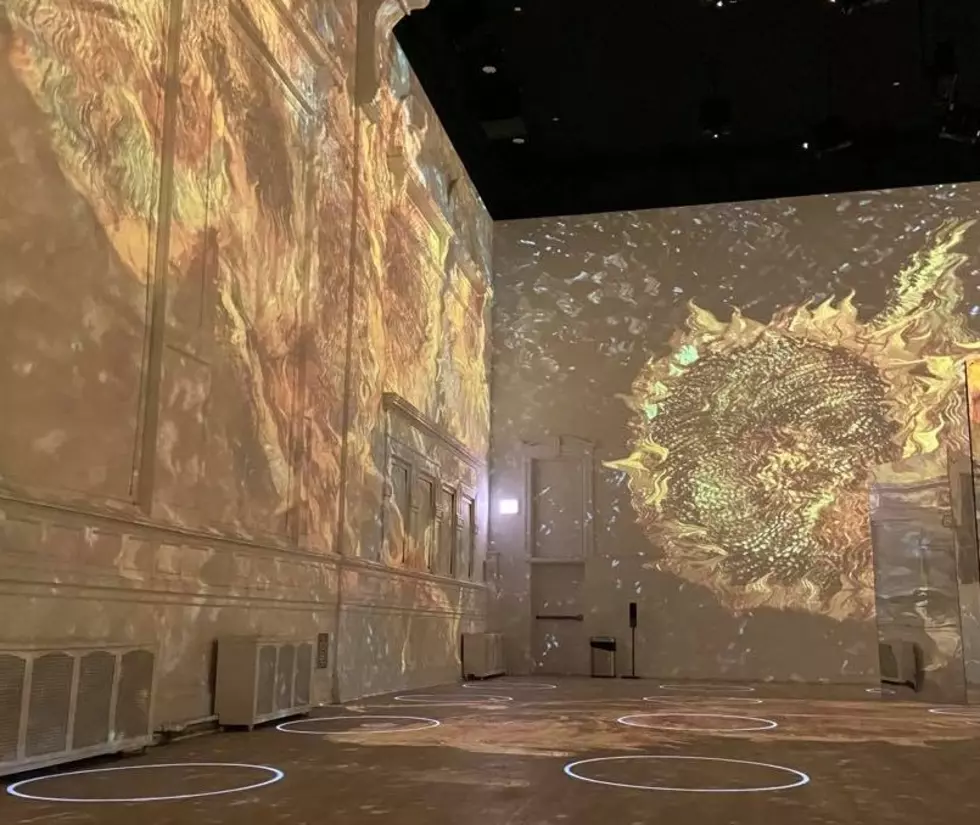 Immersive Van Gogh Chicago Exhibit is Officially Open and It&#8217;s Incredible