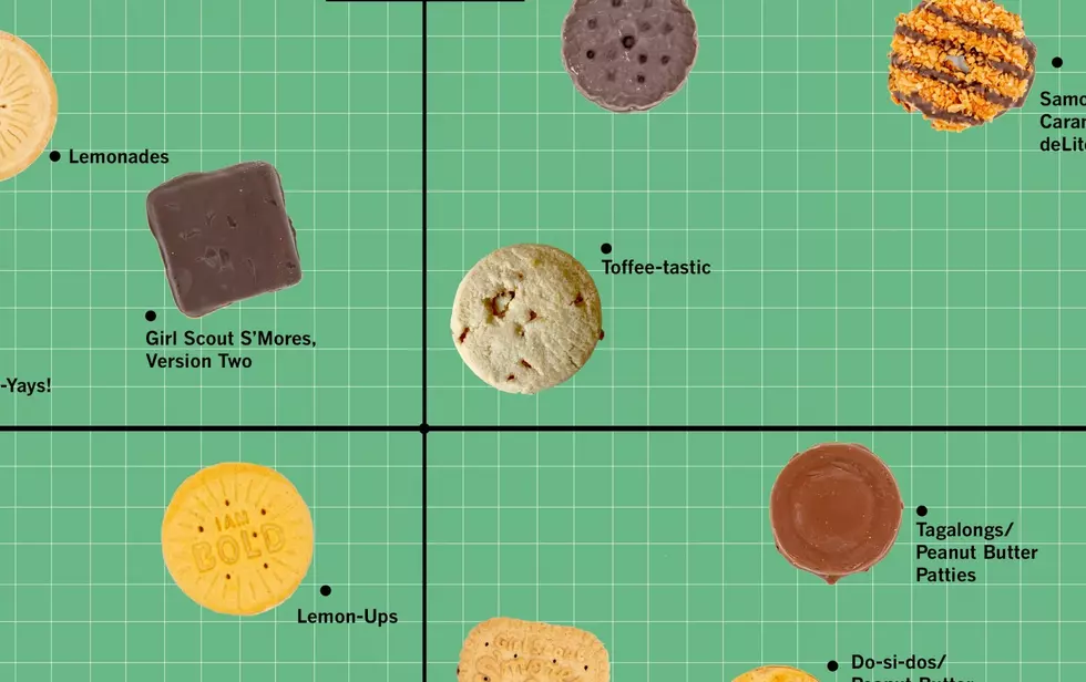 A Fancy Food Critic Ranked Girl Scout Cookies and Thin Mints Didn’t Come in 1st Place