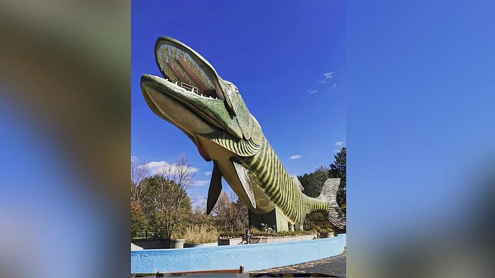 Did You Know Wisconsin is Home to The World’s Largest Fish?
