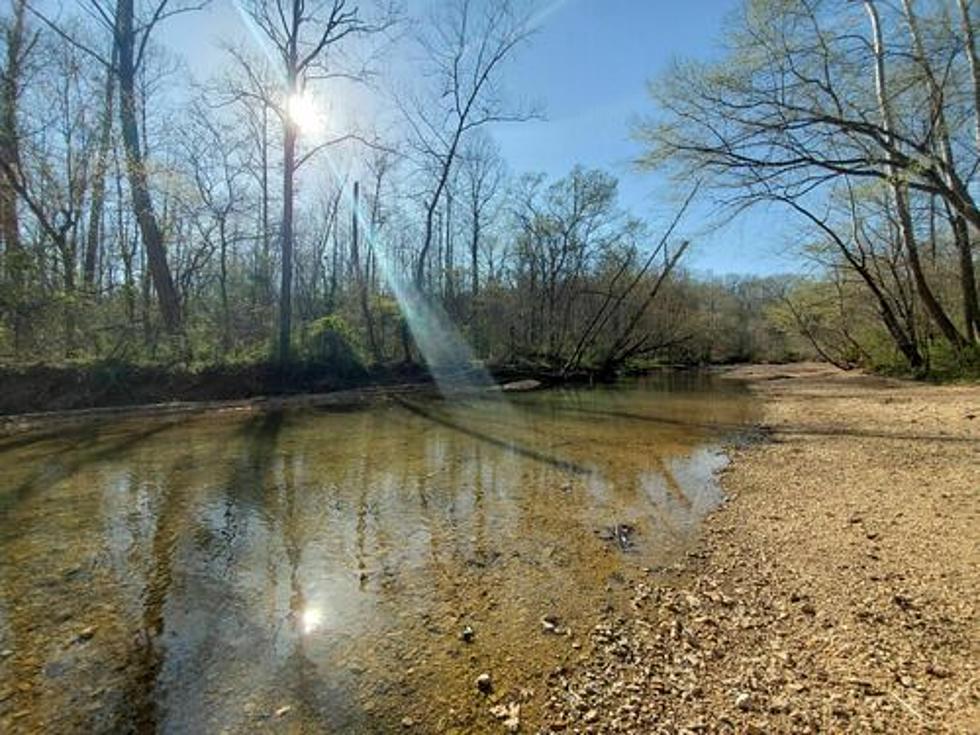 Think You Can Handle One of the Most Dangerous Hikes in Illinois?