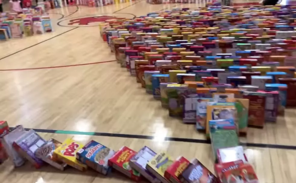 Wisconsin School Makes 2,300 Cereal Box Domino Chain For Charity