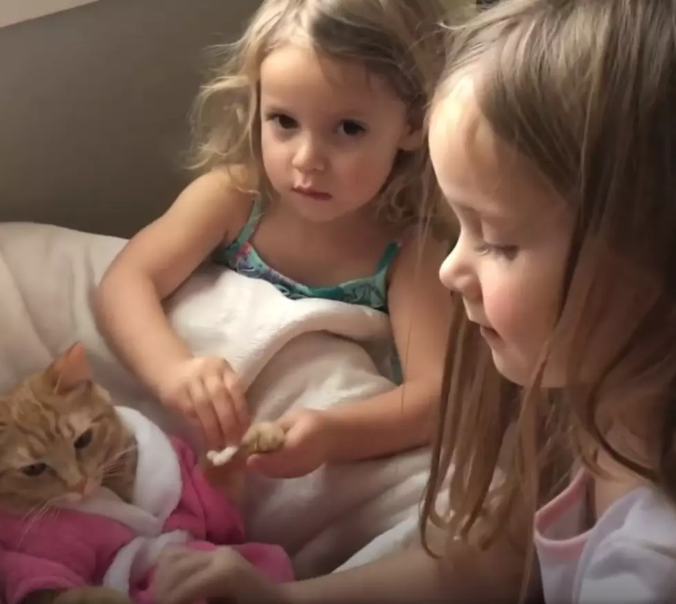 Illinois Sisters Give Their Cat a &#8216;Peticure&#8217; in Super Cute Viral Video