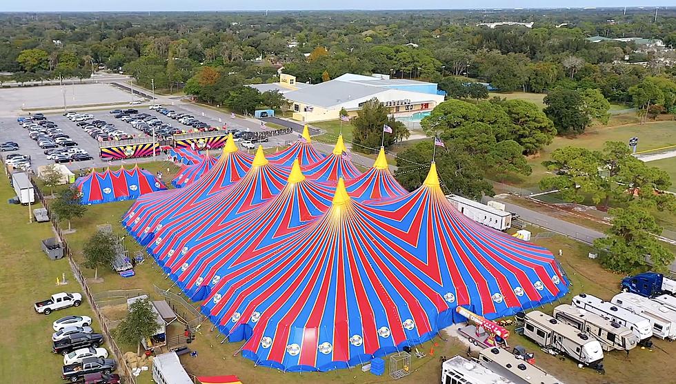 WOW Huge Humans Gone Wild Event Coming to Illinois Fairgrounds This Spring