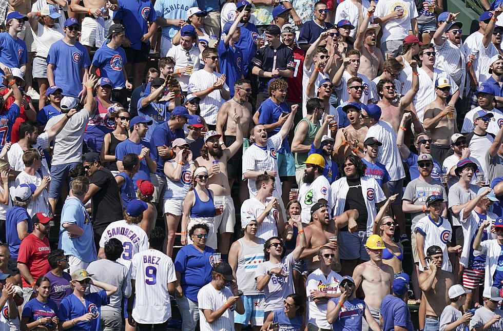 Cubs Fan in Bleachers Texting and Unaware of Approaching Baseball