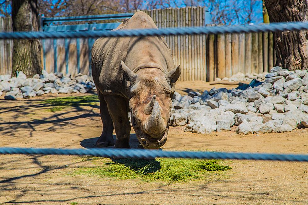 Apparently Illinois’ Most Haunted Location is a Zoo