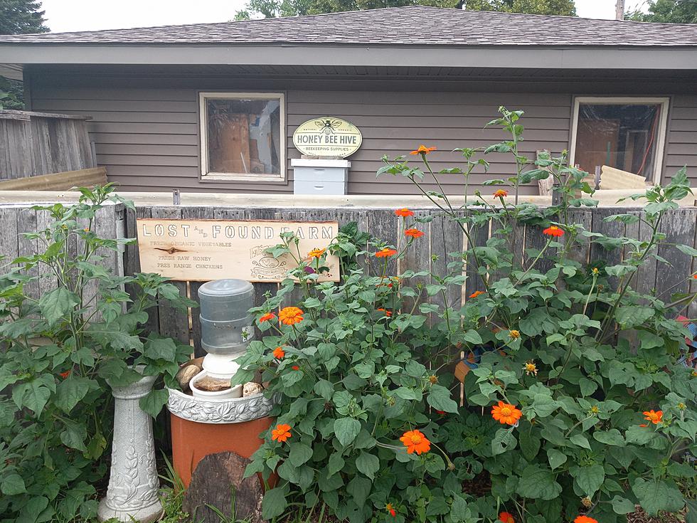 Bee on the Lookout: Have you seen this Illinois Beekeeper's Hive?