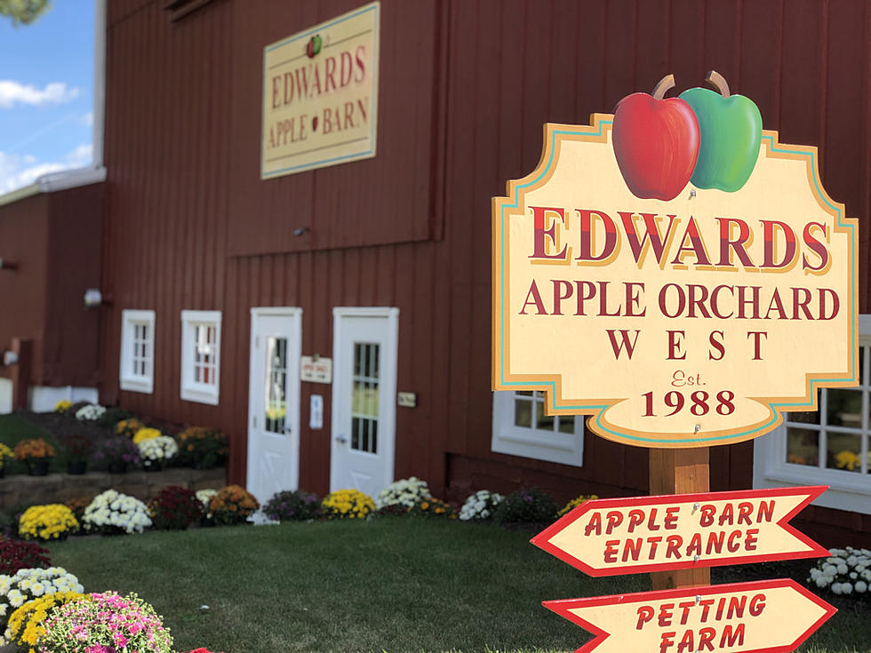 DONUT ALERT! Illinois' Edwards Orchard Announces 2021 Season