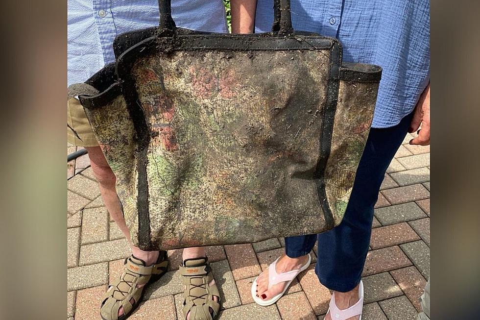 Illinois Woman’s Stolen Purse Found in Storm Drain 2 Years Later