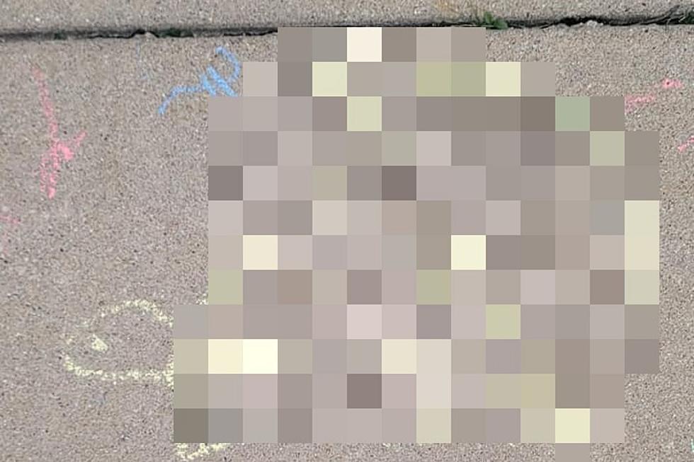 Illinois Boy's Hilarious Chalk Drawing After Risque Moment at Zoo