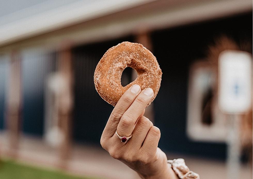 5 Different Ways to Enjoy Illinois’ Delicious Apple Cider Donuts