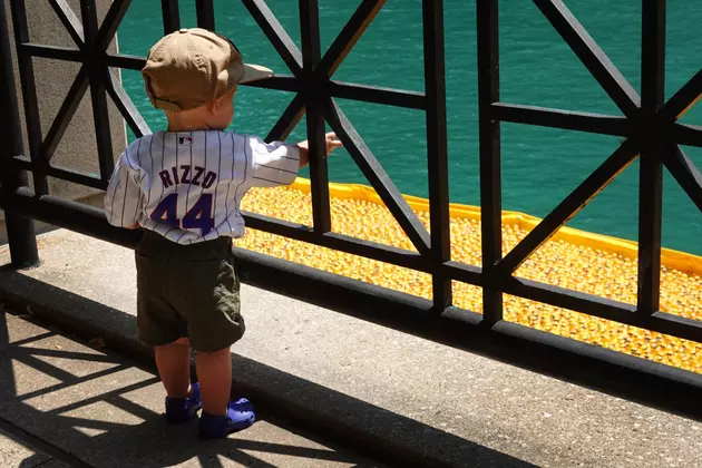 Here&#8217;s What 70,000 Rubber Ducks Look Like in The Chicago River