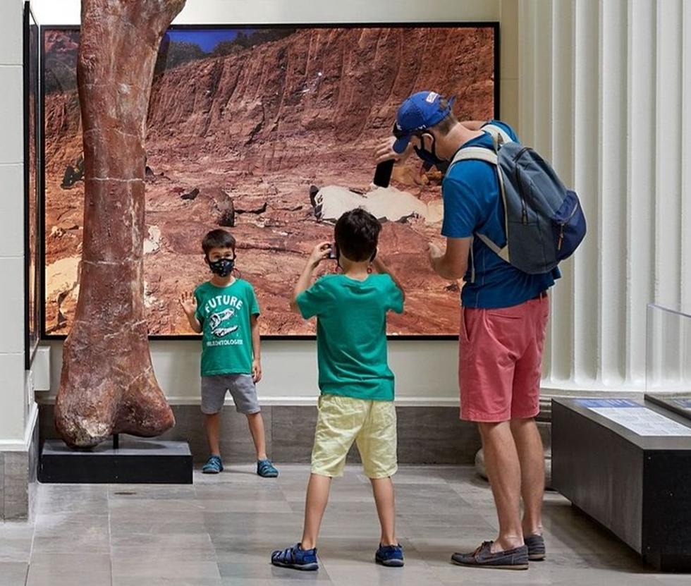 Five of America&#8217;s Top Summer &#8216;Traveling Exhibits&#8217; are in Illinois