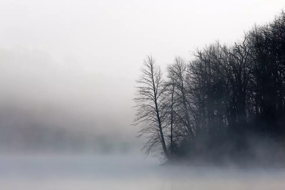 Photo by Dave Hoefler on Unsplash