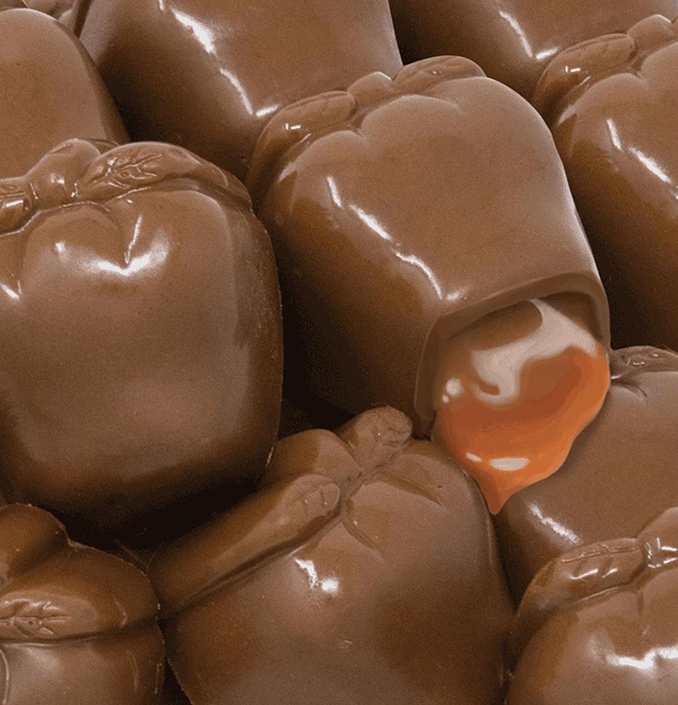 OMG Illinois Girl Scouts Launch Caramel Apple Chocolates