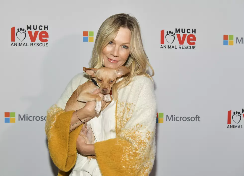 Much Love Animal Rescue 3rd Annual Spoken Woof Benefit