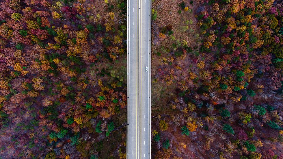 The Ultimate Fall Foliage Road Trip to See Illinois’ Beautiful Colors