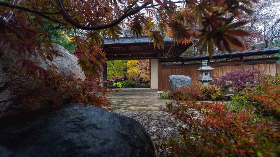 Anderson Japanese Gardens via Facebook